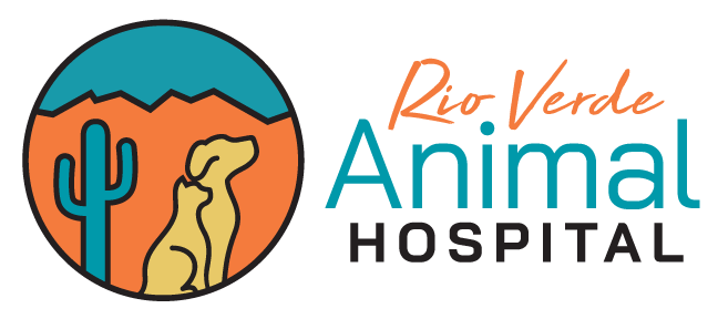 Rio Verde Animal Hospital Logo